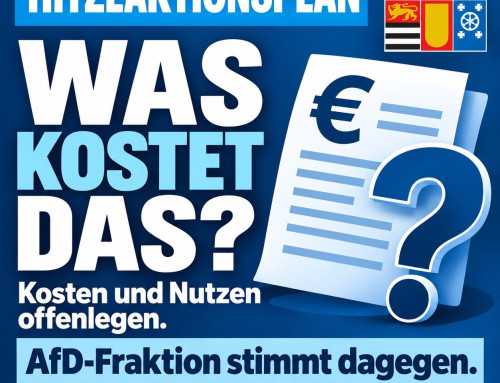 AfD-Ratsfraktion lehnt geplanten Hitzeaktionsplan ab